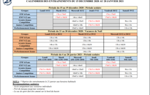 MODIFICATION PLANNING DU 15/12/20 au 20/01/21