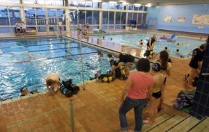 SDC17836.JPG