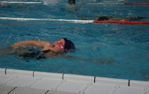 IMG_0110.jpg