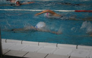 IMG_0111.jpg