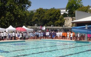 PONS 3.JPG