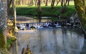 5c7c0b39e3e6b_DSC7355.JPG