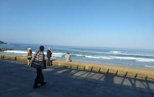 5ca5adc60faa1_5ca269e9e90b0IMG20190331095756590.jpg