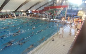 SDC15018.JPG