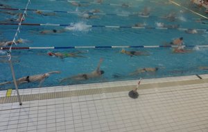 SDC15024.JPG