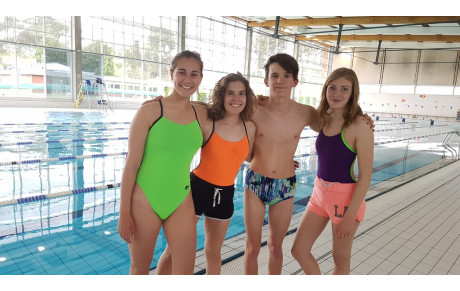 Stage natation Villenave d'Ornon